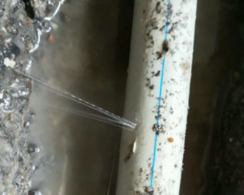 枣强卫生间测漏水多少钱