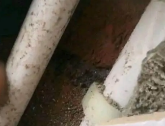 枣强卫生间测漏水哪家好